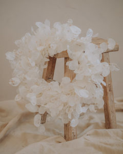 wall crown dried flower