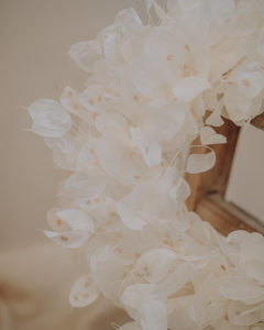 wall crown dried flower