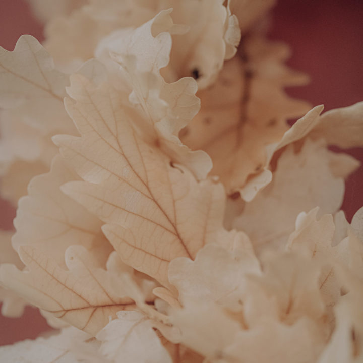 couronne fleurs séchées