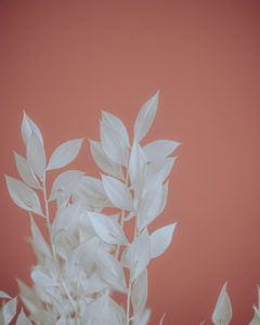 decoration dried flowers
