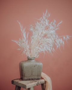decoration dried flowers pampa