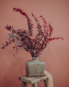 décoration fleurs séchées eucalyptus