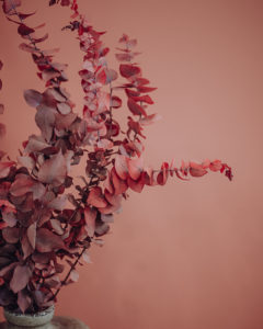 décoration fleurs séchées eucalyptus