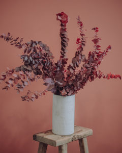décoration fleurs séchées eucalyptus