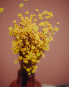 décoration fleurs séchées