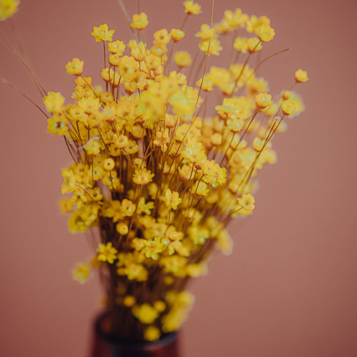 décoration fleurs séchées