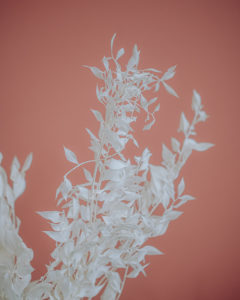 décoration fleurs séchées