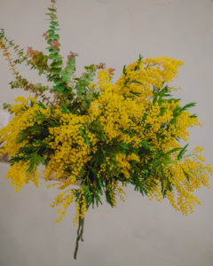 Delivery bouquet mimosa