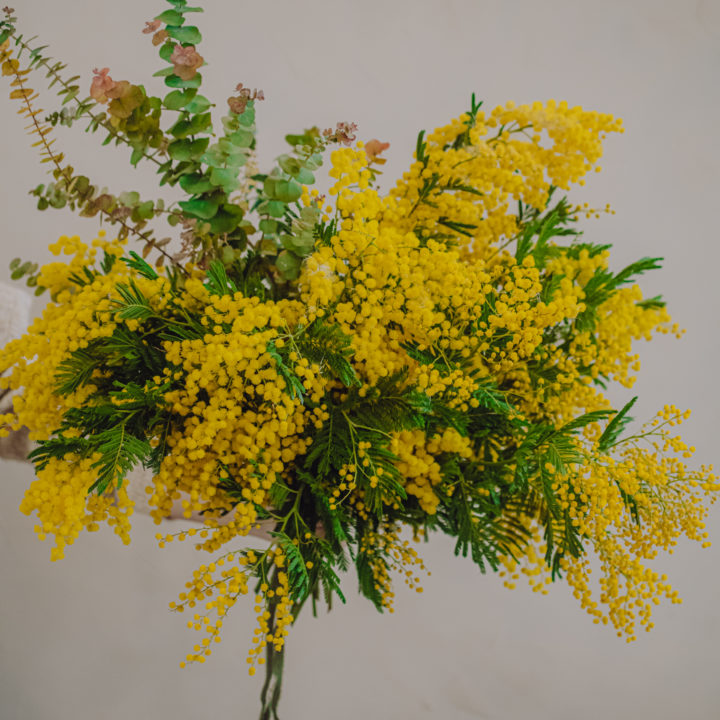 livraison bouquet mimosa