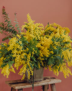 livraison bouquet mimosa