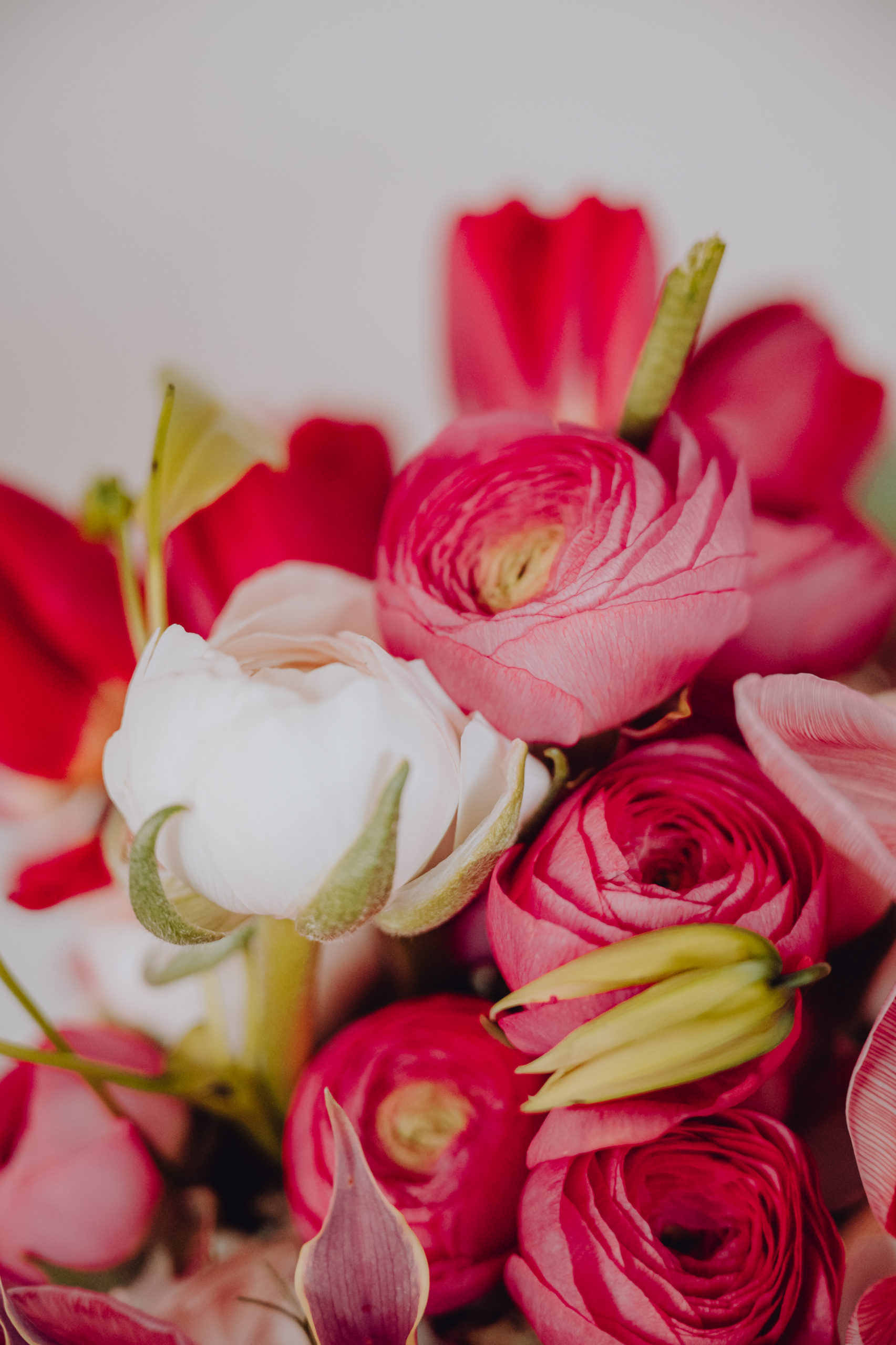 Bouquet de fleurs saint Valentin livraison reflets fleurs célébrez l'amour