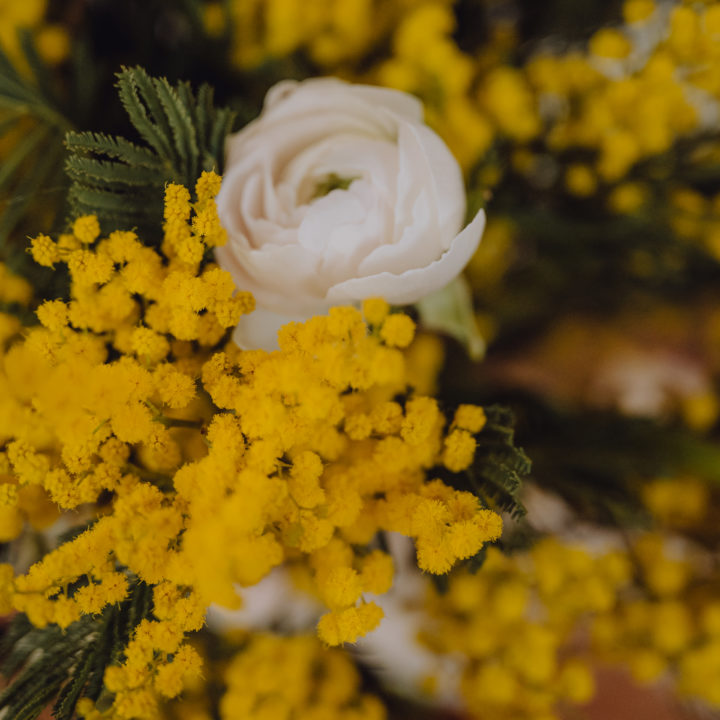 Bouquet de fleurs de saison mimosa livraison célébrez l'amour