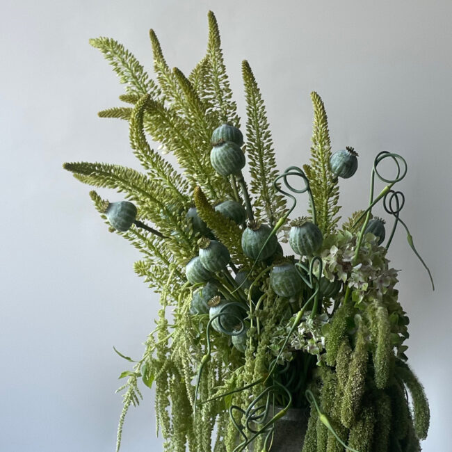 214C2478-E953-4F8C-BFB0-6F2A2527DBF4