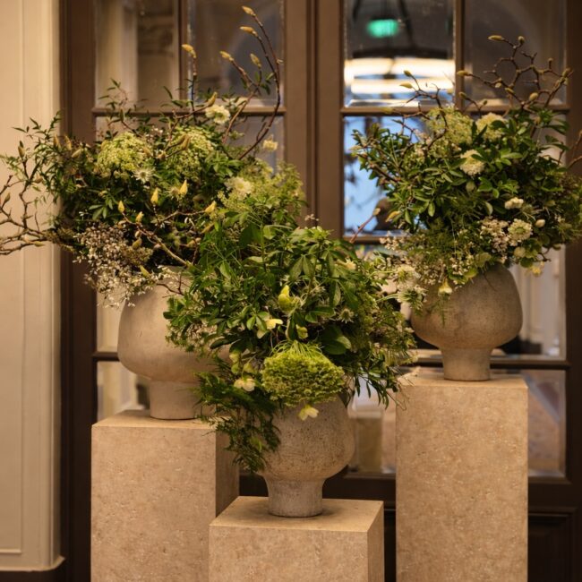 EC29E033-F6D1-4E73-A559-135FE07DA9B4